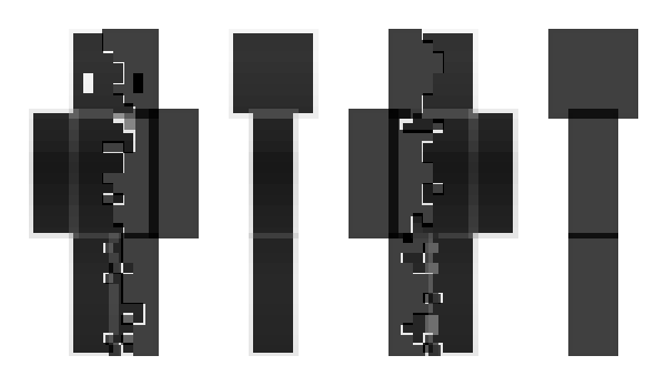 Minecraft скин по нику RakyTigerc