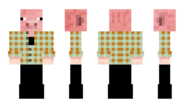 Minecraft skin TorchPiggy