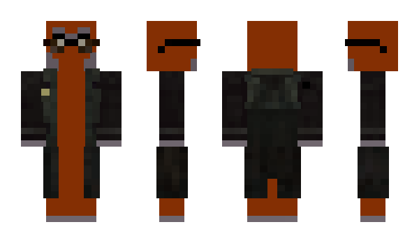 Minecraft skin lapb