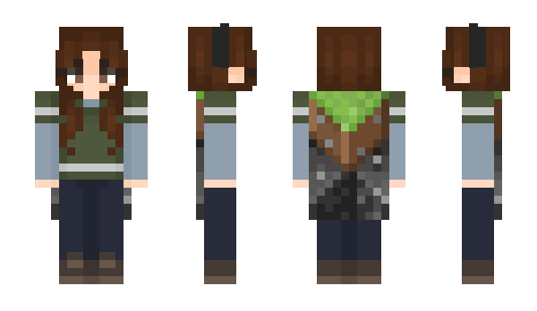 Minecraft skin _BellaSwan