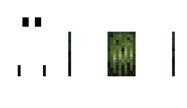 Minecraft skin jaskec