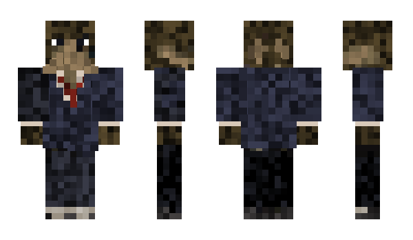 Minecraft skin carpans_