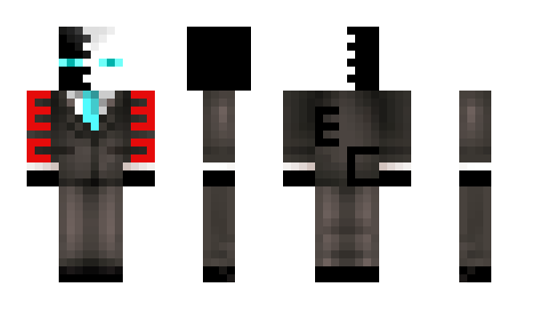 Minecraft skin Endercoat