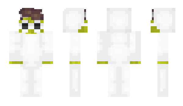 Minecraft skin Punctured