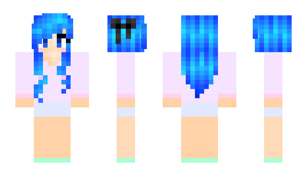 Minecraft skin swsj