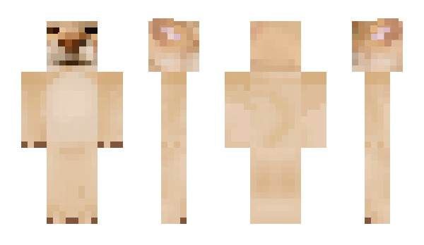 Minecraft skin sclo1224