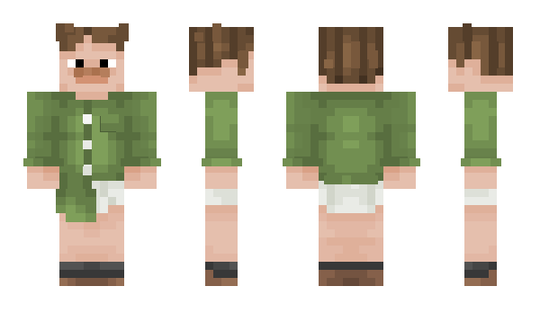 Minecraft skin bulkis