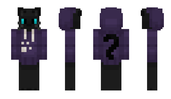 Minecraft skin Texcat08