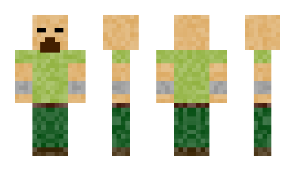 Minecraft skin Tanasinn