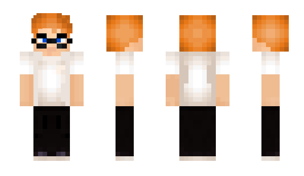 Minecraft skin Flife