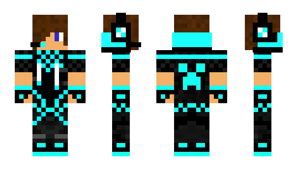 Minecraft skin WARDAN