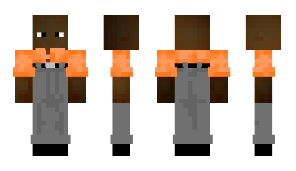 Minecraft skin RandomsTV