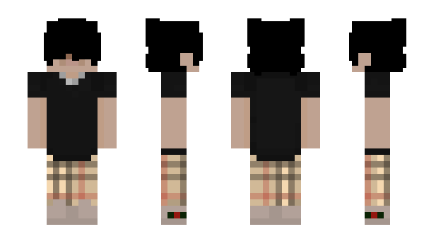 Minecraft skin toled