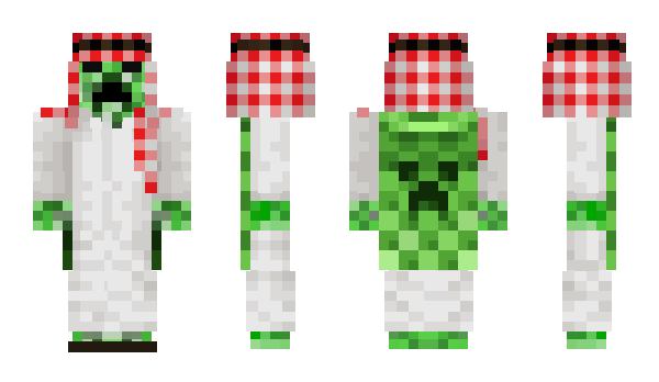 Minecraft skin ZhekiroNova