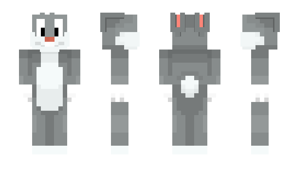 Minecraft skin Ricot