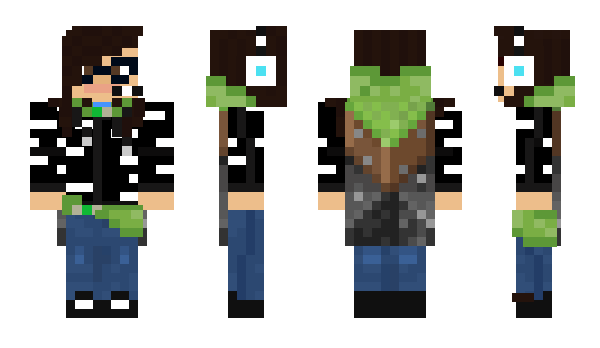 Minecraft skin AlexGamer122