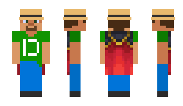 Minecraft skin RWDN_
