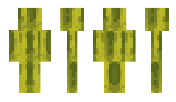 Minecraft skin Pear_To_Pear