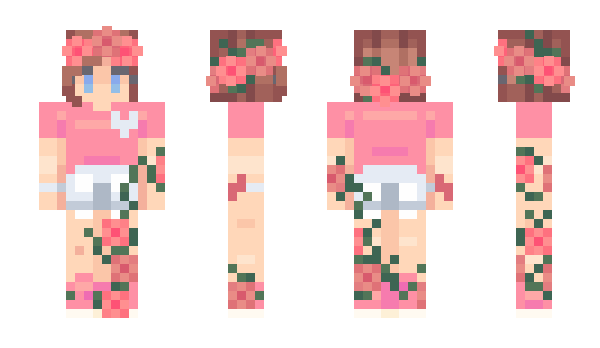 Minecraft skin Eweer