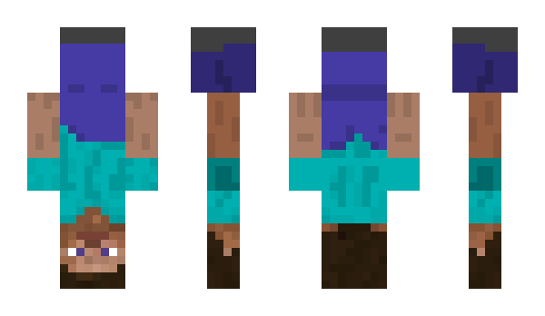 Minecraft skin chssb