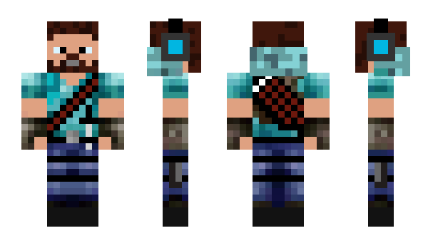 Minecraft skin Tjekins123TJE_NL