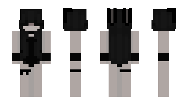 Minecraft skin Crownkingk