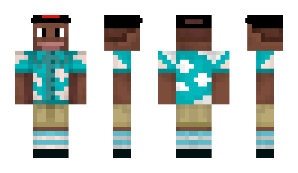 Minecraft skin the_crator