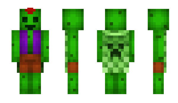 Minecraft скин по нику Timse_