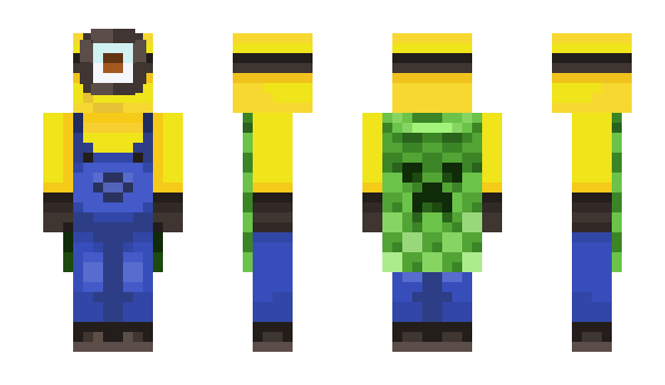 Minecraft skin Minjooka