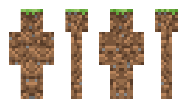 Minecraft skin multitrym