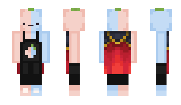 Minecraft skin XSY_Tenq