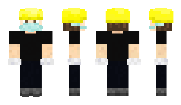 Minecraft skin little_sheep