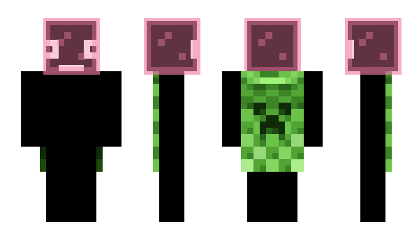 Minecraft skin besf0r