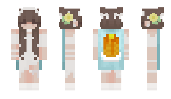 Minecraft skin rrwi