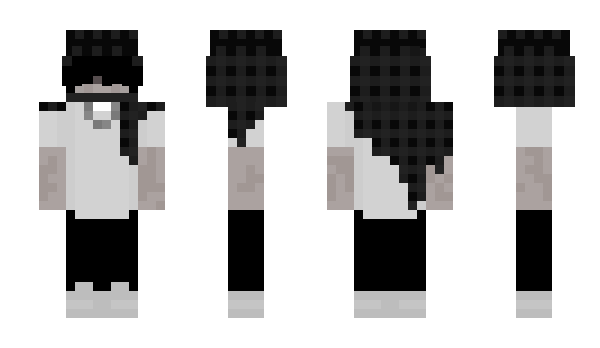 Minecraft skin ZENll