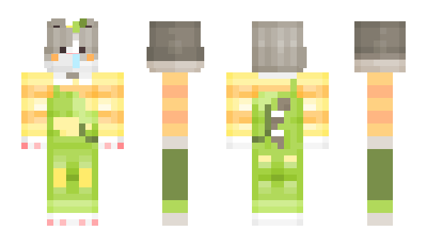 Minecraft skin BINI_