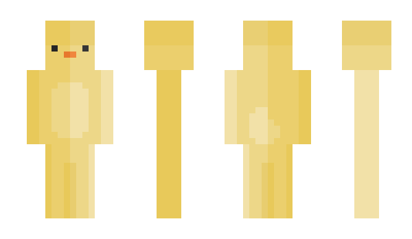 Minecraft skin tdlop