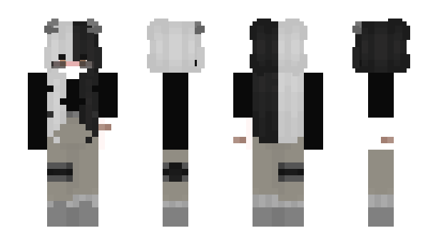 Minecraft skin Sr_zt