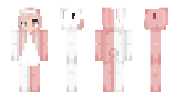 Minecraft skin 5pain