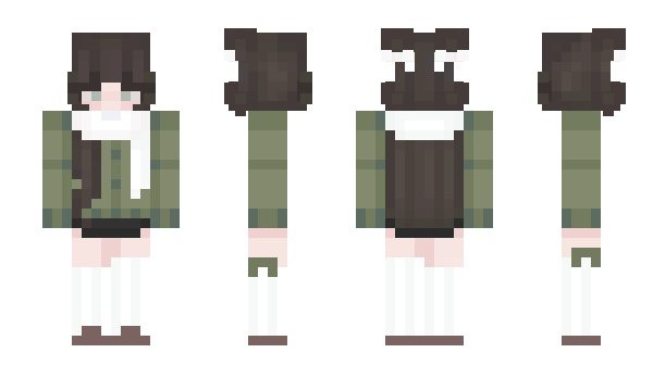 Minecraft skin BryNya