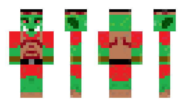 Minecraft skin Skyrer