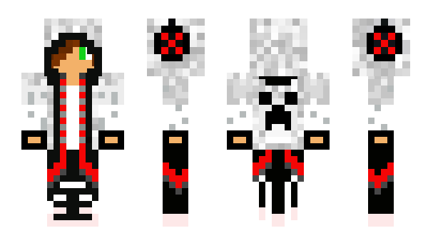 Minecraft skin ZackGaurdian