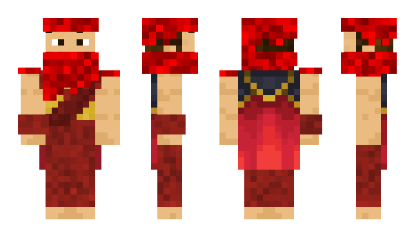 Minecraft skin Narsi