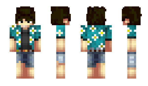 Minecraft skin Cexil