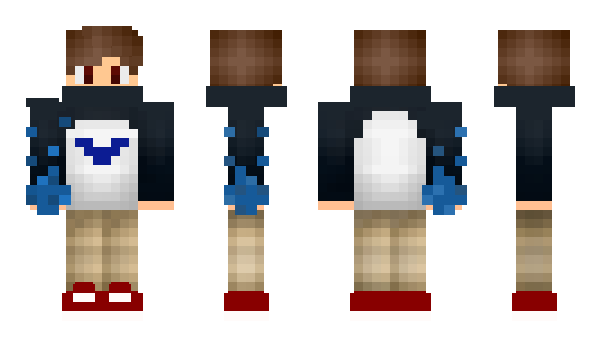 Minecraft skin Daire