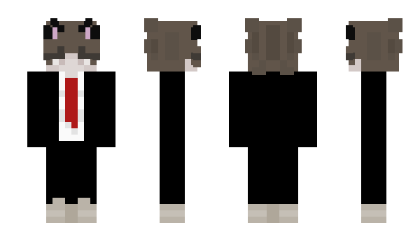 Minecraft skin GatoFr