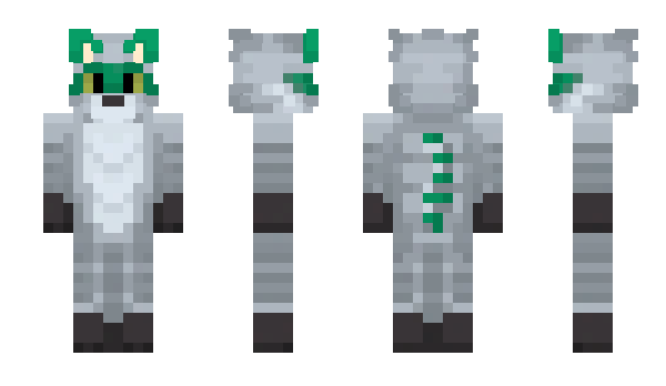 Minecraft skin RadoRaccoon