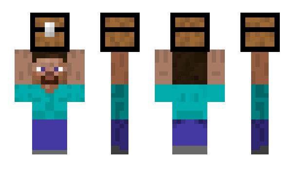 Minecraft skin robin1556