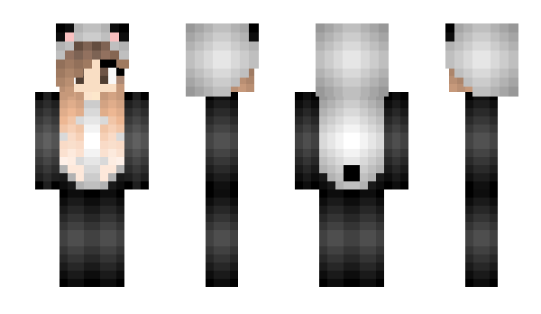 Minecraft skin ByTroll_HD