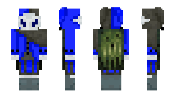 Minecraft скин по нику Entity_B